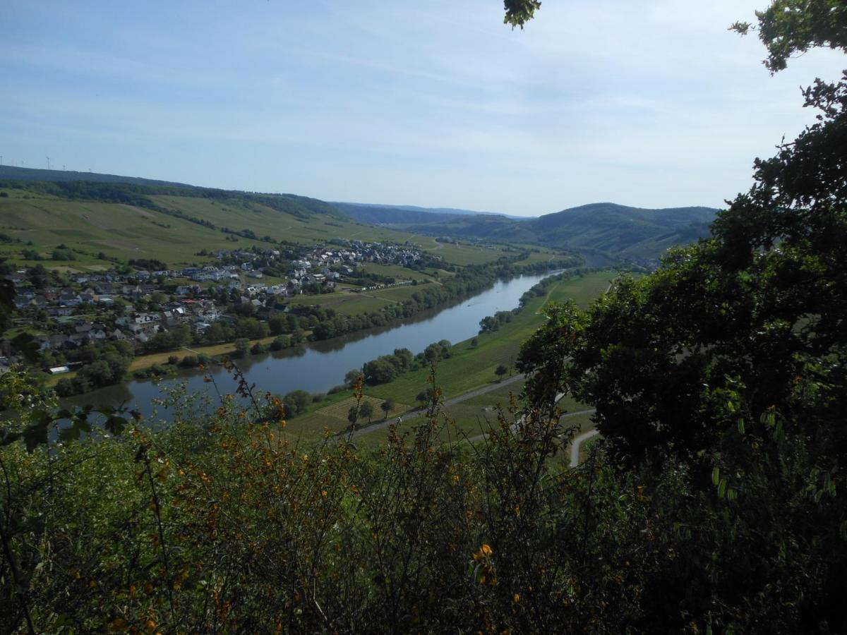 Ferienhaus Mosel Villa Brauneberg Exterior photo
